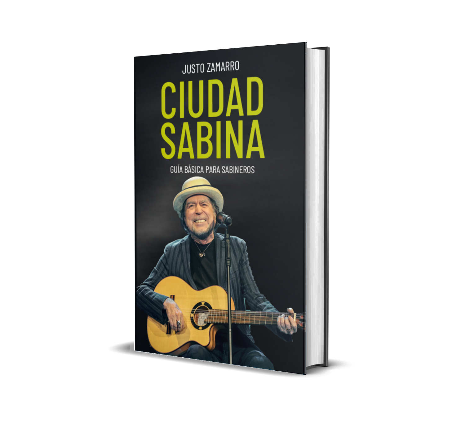 ciudad sabina mockups 3d